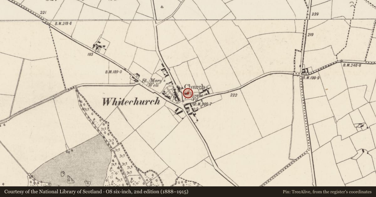 Ordnance Survey six-inch map, 2nd edition (1888–1915) covering the location of Church, Whitechurch, County Wexford, with a pin at the register's coordinates