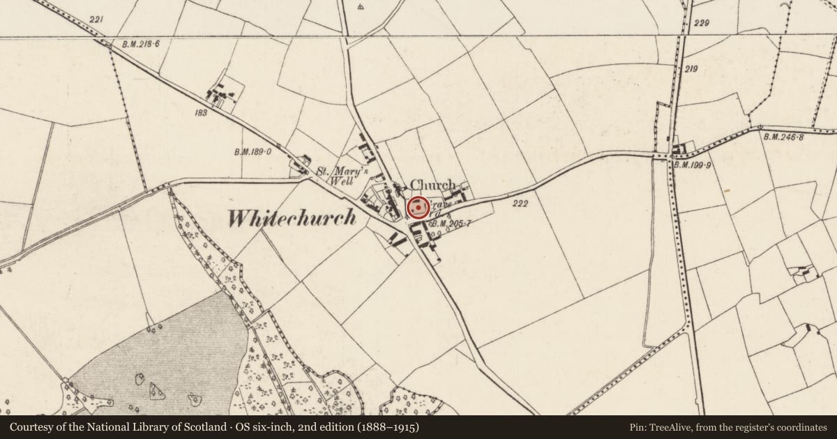 Ordnance Survey six-inch map, 2nd edition (1888–1915) covering the location of Graveslab, Whitechurch, County Wexford, with a pin at the register's coordinates