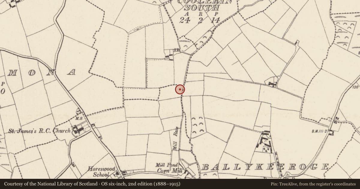 Ordnance Survey six-inch map, 2nd edition (1888–1915) covering the location of Water mill - horizontal-wheeled, Horeswood, County Wexford, with a pin at the register's coordinates