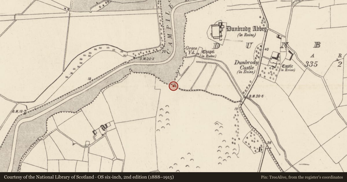 Ordnance Survey six-inch map, 2nd edition (1888–1915) covering the location of Tide mill - unclassified, Dunbrody, Saltmills, County Wexford, with a pin at the register's coordinates