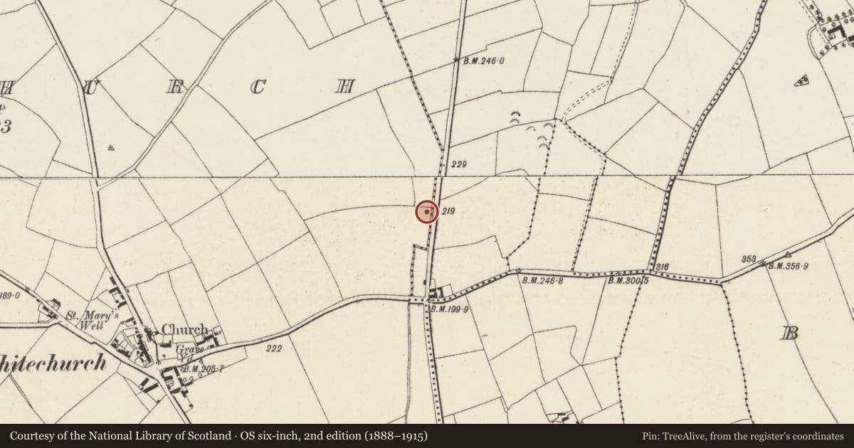Ordnance Survey six-inch map, 2nd edition (1888–1915) covering the location of Burnt mound, Whitechurch, County Wexford, with a pin at the register's coordinates