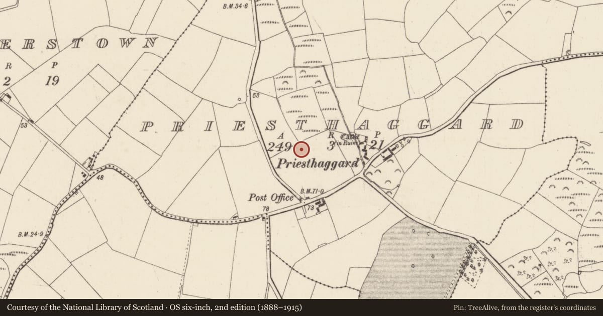 Ordnance Survey six-inch map, 2nd edition (1888–1915) covering the location of Burnt mound, Priesthaggard, County Wexford, with a pin at the register's coordinates