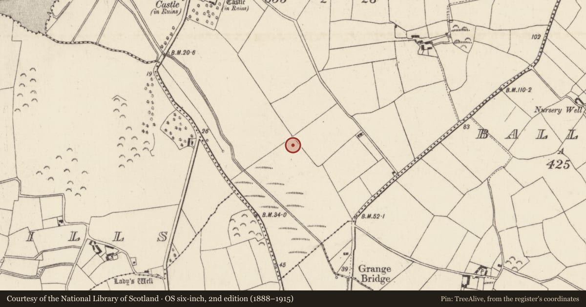 Ordnance Survey six-inch map, 2nd edition (1888–1915) covering the location of Burnt mound, Dunbrody, County Wexford, with a pin at the register's coordinates