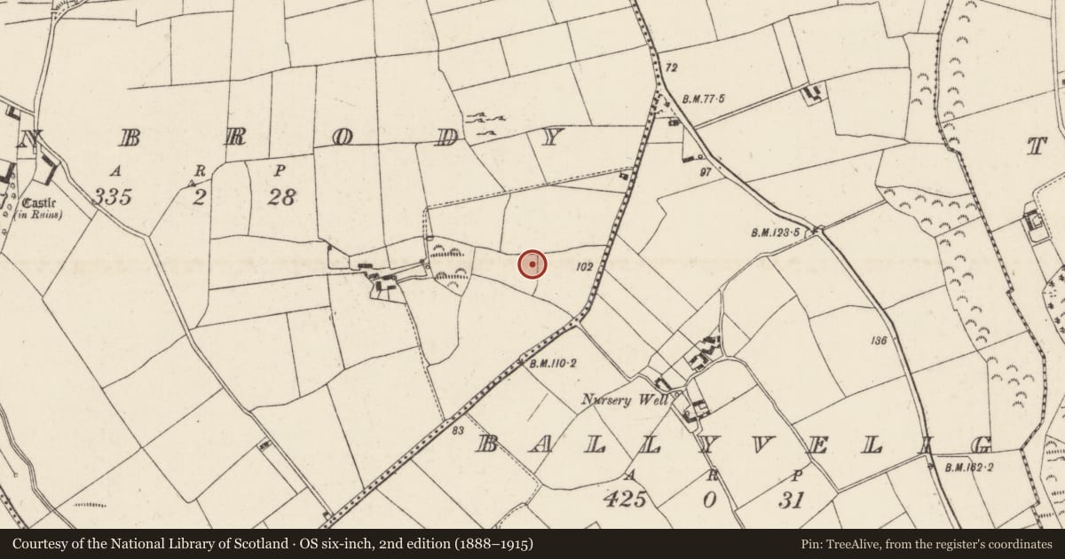 Ordnance Survey six-inch map, 2nd edition (1888–1915) covering the location of Burnt mound, Dunbrody, County Wexford, with a pin at the register's coordinates