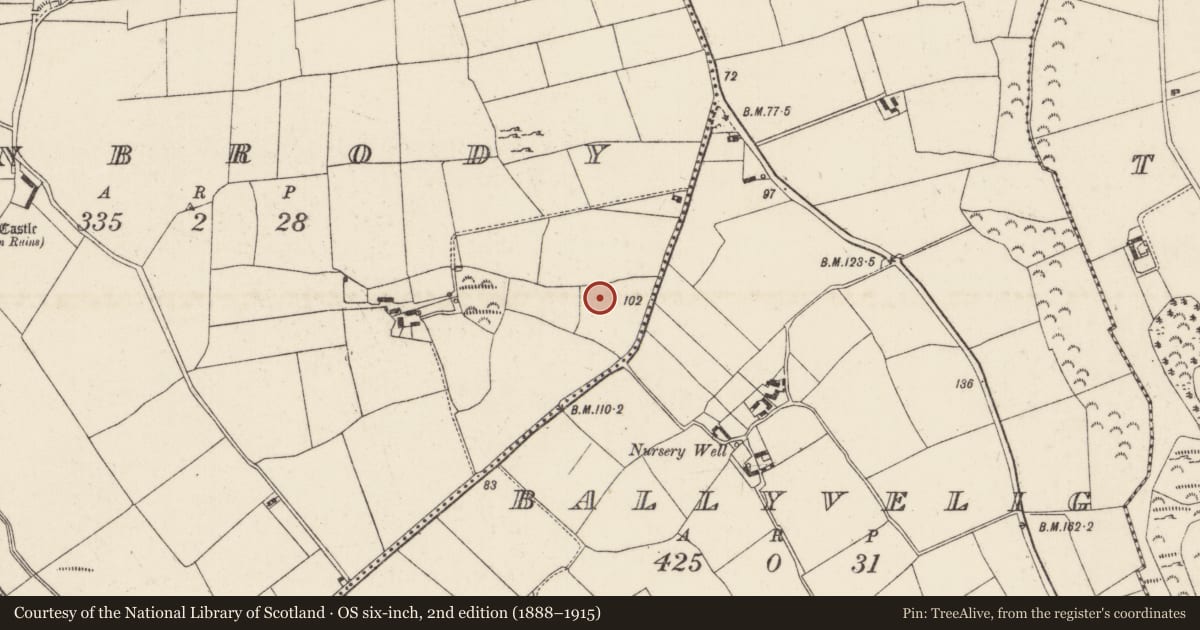 Ordnance Survey six-inch map, 2nd edition (1888–1915) covering the location of Burnt mound, Dunbrody, County Wexford, with a pin at the register's coordinates