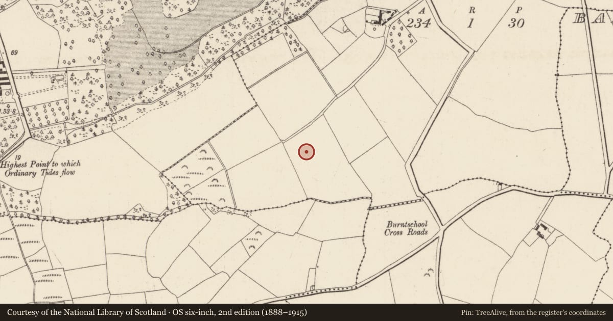 Ordnance Survey six-inch map, 2nd edition (1888–1915) covering the location of Ringfort - rath, Ballyfarnoge, County Wexford, with a pin at the register's coordinates