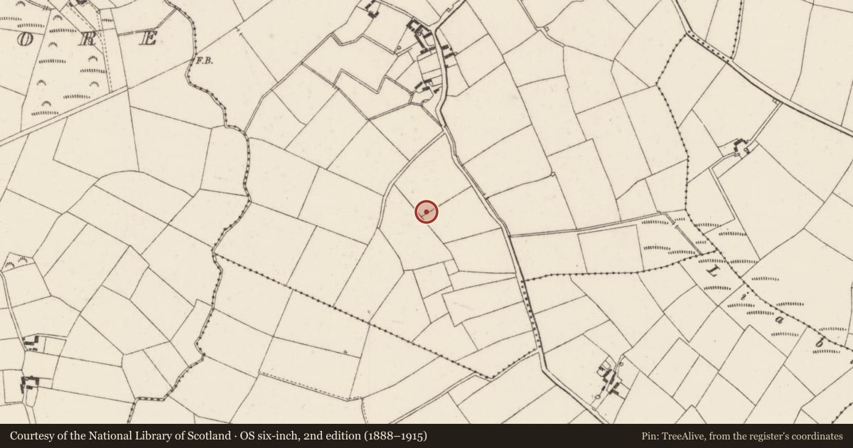 Ordnance Survey six-inch map, 2nd edition (1888–1915) covering the location of Ringfort - rath, Garryduff, County Wexford, with a pin at the register's coordinates