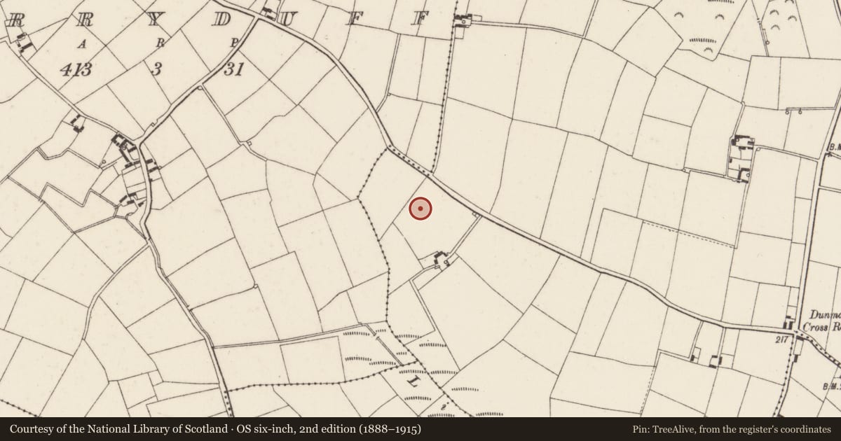 Ordnance Survey six-inch map, 2nd edition (1888–1915) covering the location of Ringfort - rath, Dunmain, County Wexford, with a pin at the register's coordinates