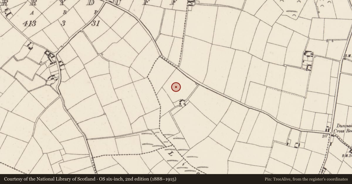 Ordnance Survey six-inch map, 2nd edition (1888–1915) covering the location of Ringfort - rath, Dunmain, County Wexford, with a pin at the register's coordinates