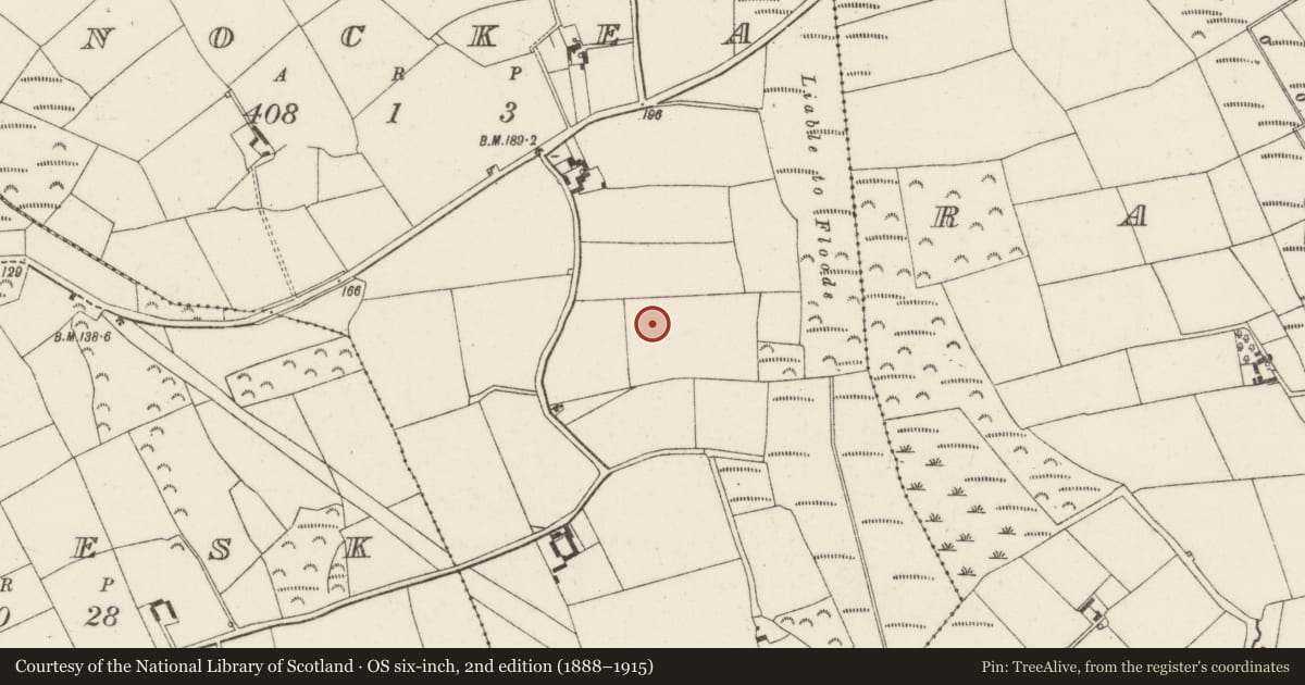 Ordnance Survey six-inch map, 2nd edition (1888–1915) covering the location of Ringfort - rath, Knockea, County Wexford, with a pin at the register's coordinates