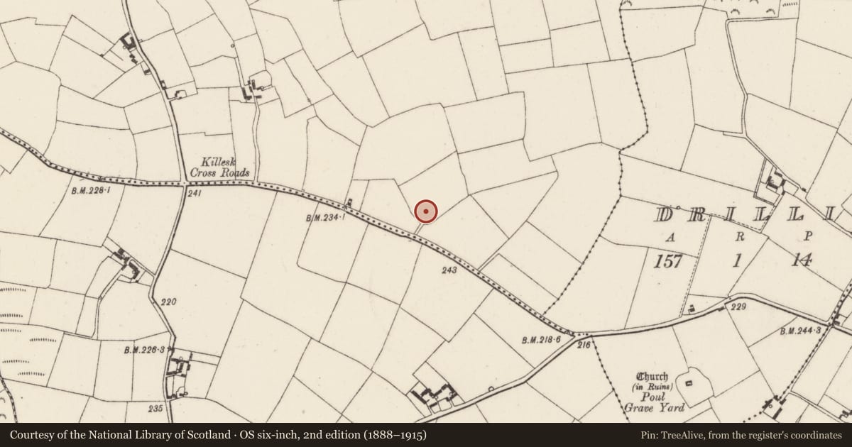 Ordnance Survey six-inch map, 2nd edition (1888–1915) covering the location of Ringfort - rath, Killesk, County Wexford, with a pin at the register's coordinates