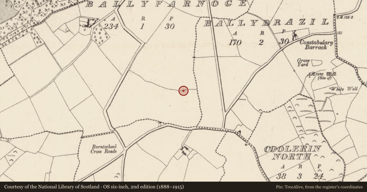 Ordnance Survey six-inch map, 2nd edition (1888–1915) covering the location of Ringfort - rath, Ballyfarnoge, County Wexford, with a pin at the register's coordinates