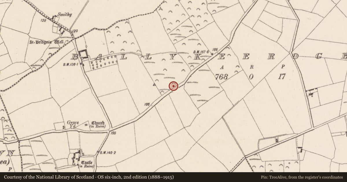 Ordnance Survey six-inch map, 2nd edition (1888–1915) covering the location of Enclosure, Ballykeerogemore, County Wexford, with a pin at the register's coordinates