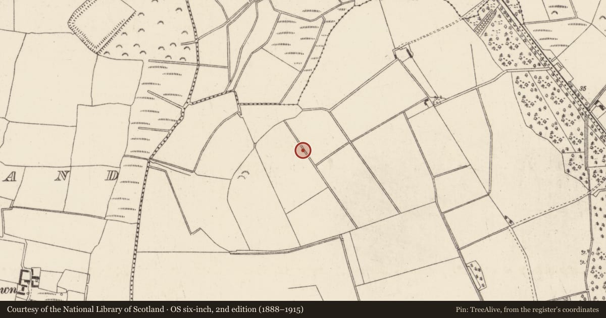 Ordnance Survey six-inch map, 2nd edition (1888–1915) covering the location of Ringfort - rath, Kilmannock, County Wexford, with a pin at the register's coordinates
