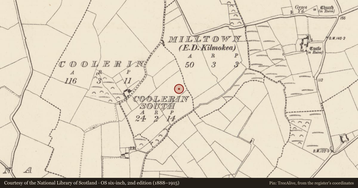 Ordnance Survey six-inch map, 2nd edition (1888–1915) covering the location of Ringfort - rath, Coolerin South, County Wexford, with a pin at the register's coordinates