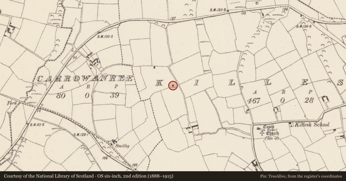Ordnance Survey six-inch map, 2nd edition (1888–1915) covering the location of Ringfort - rath, Killesk, County Wexford, with a pin at the register's coordinates