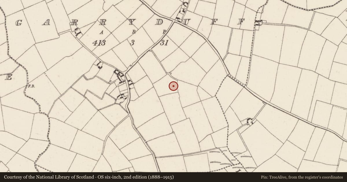 Ordnance Survey six-inch map, 2nd edition (1888–1915) covering the location of Ringfort - rath, Garryduff, County Wexford, with a pin at the register's coordinates