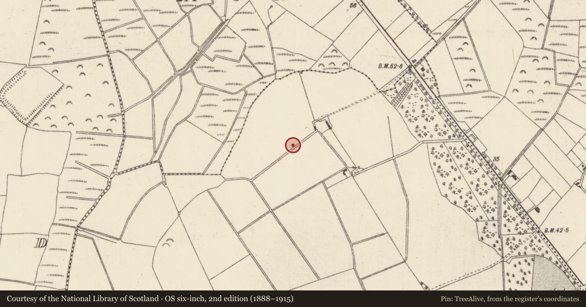 Ordnance Survey six-inch map, 2nd edition (1888–1915) covering the location of Ringfort - rath, Kilmannock, County Wexford, with a pin at the register's coordinates