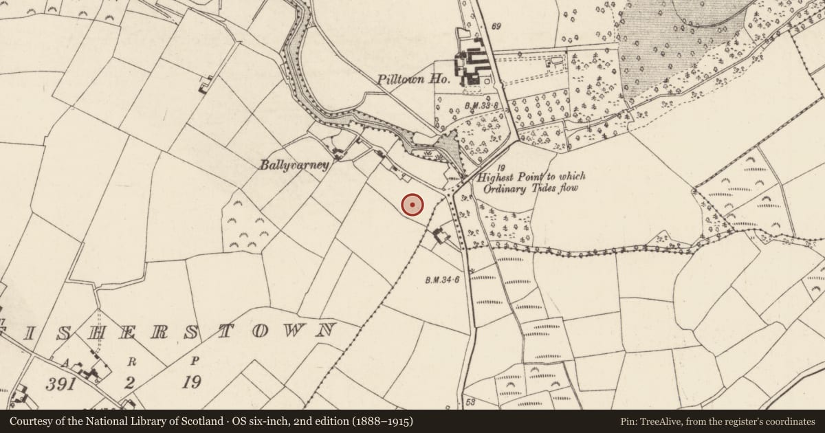 Ordnance Survey six-inch map, 2nd edition (1888–1915) covering the location of Ringfort - rath, Fisherstown, County Wexford, with a pin at the register's coordinates