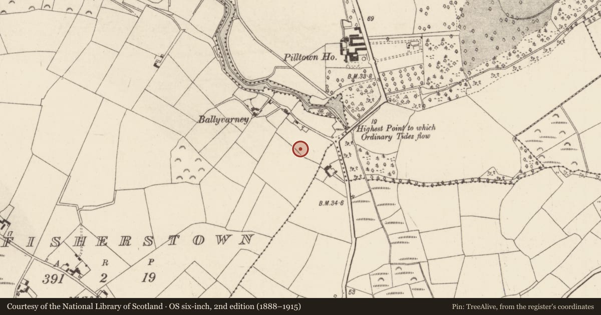 Ordnance Survey six-inch map, 2nd edition (1888–1915) covering the location of Souterrain, Fisherstown, County Wexford, with a pin at the register's coordinates