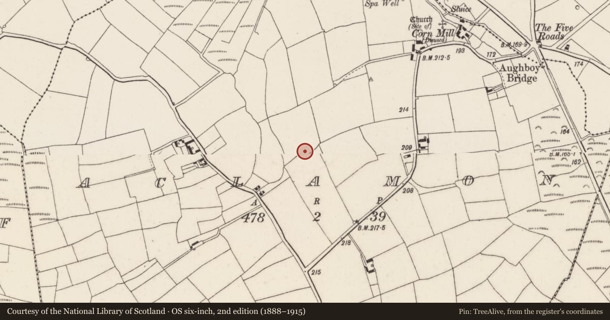 Ordnance Survey six-inch map, 2nd edition (1888–1915) covering the location of Ringfort - rath, Aclamon, County Wexford, with a pin at the register's coordinates