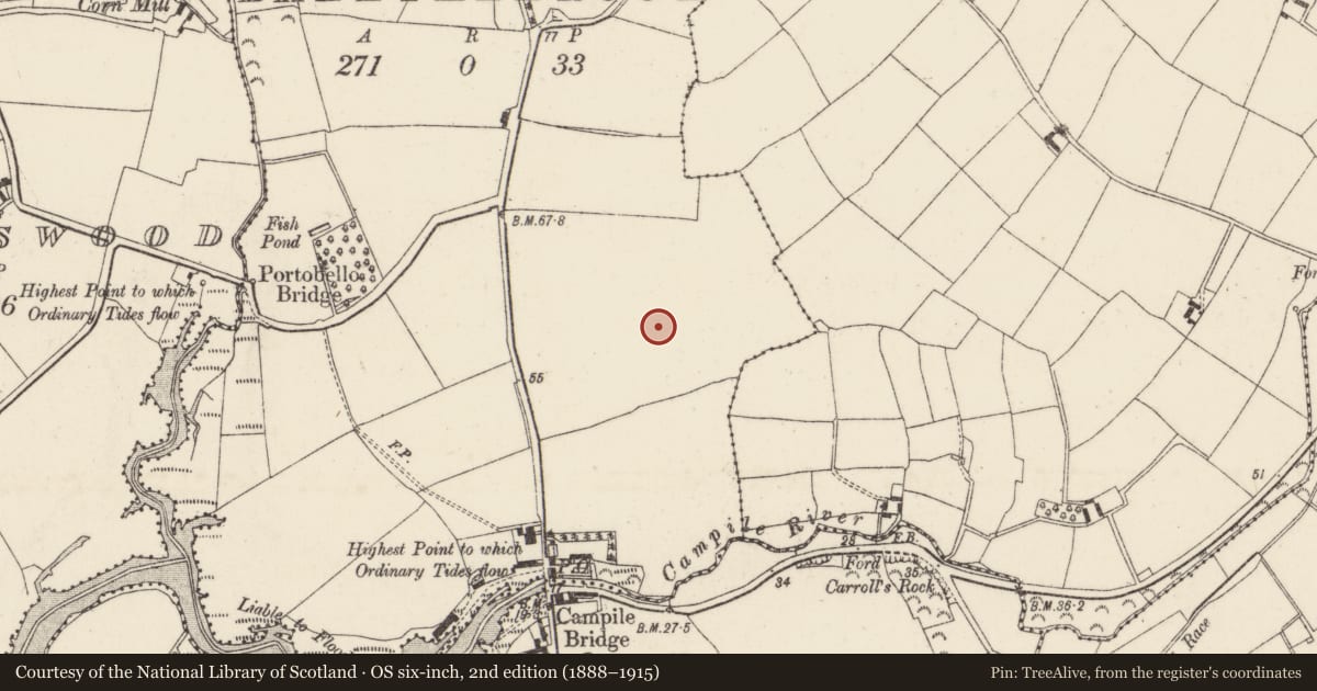 Ordnance Survey six-inch map, 2nd edition (1888–1915) covering the location of Road - road/trackway, Ballykeeroge, County Wexford, with a pin at the register's coordinates