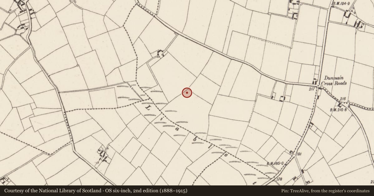 Ordnance Survey six-inch map, 2nd edition (1888–1915) covering the location of Ringfort - rath, Dunmain, County Wexford, with a pin at the register's coordinates