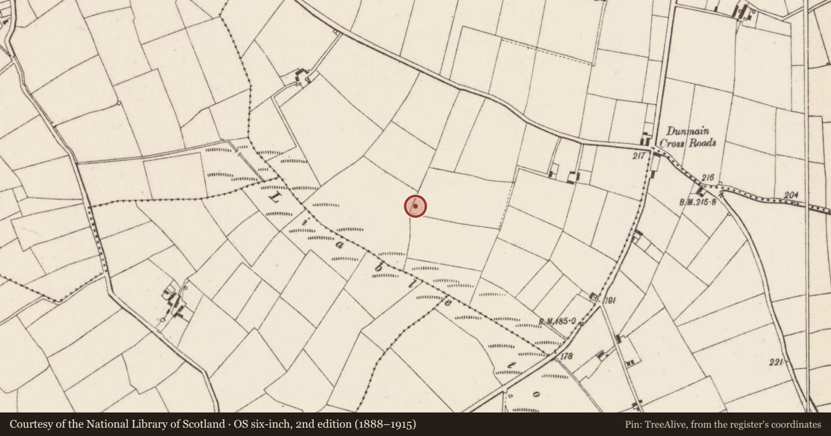 Ordnance Survey six-inch map, 2nd edition (1888–1915) covering the location of Ringfort - rath, Dunmain, County Wexford, with a pin at the register's coordinates