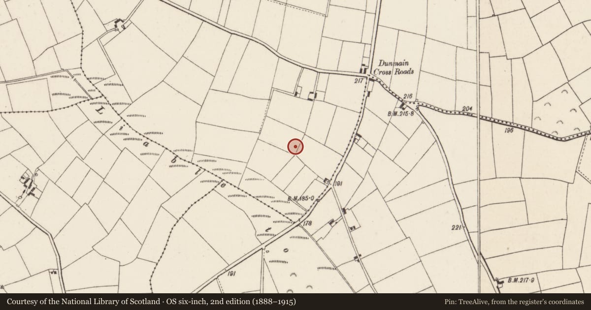 Ordnance Survey six-inch map, 2nd edition (1888–1915) covering the location of Enclosure, Dunmain, County Wexford, with a pin at the register's coordinates