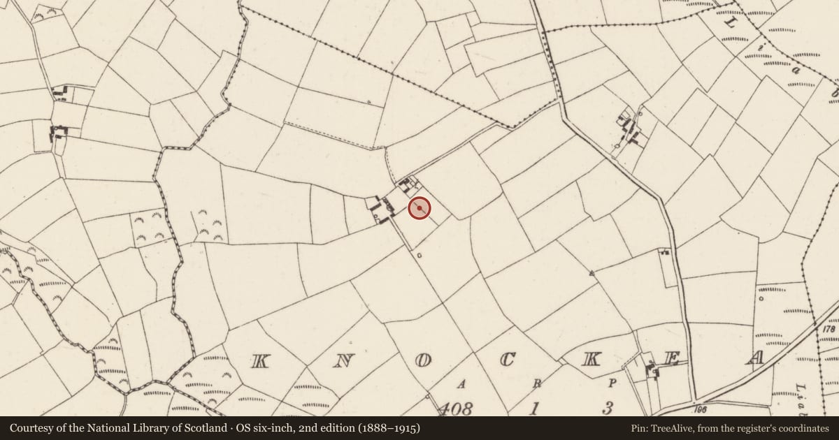 Ordnance Survey six-inch map, 2nd edition (1888–1915) covering the location of Ringfort - rath, Knockea, County Wexford, with a pin at the register's coordinates