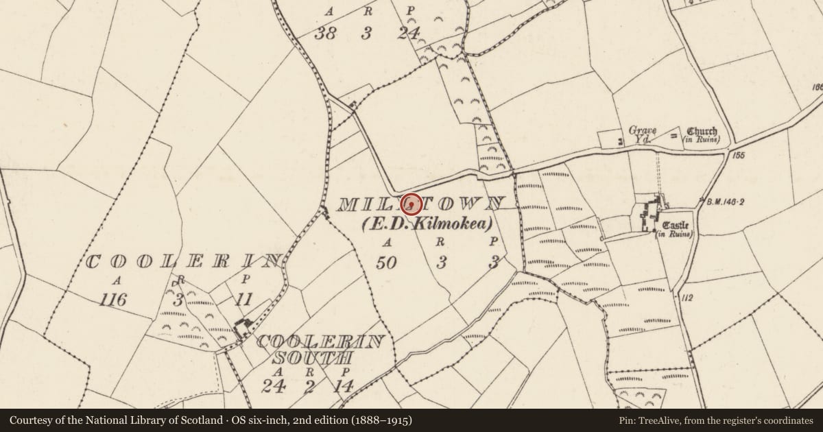 Ordnance Survey six-inch map, 2nd edition (1888–1915) covering the location of Ringfort - rath, Milltown, County Wexford, with a pin at the register's coordinates