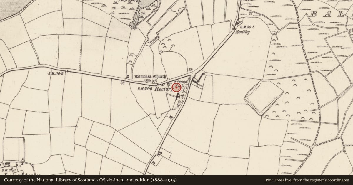 Ordnance Survey six-inch map, 2nd edition (1888–1915) covering the location of Headstone, Great Island, County Wexford, with a pin at the register's coordinates