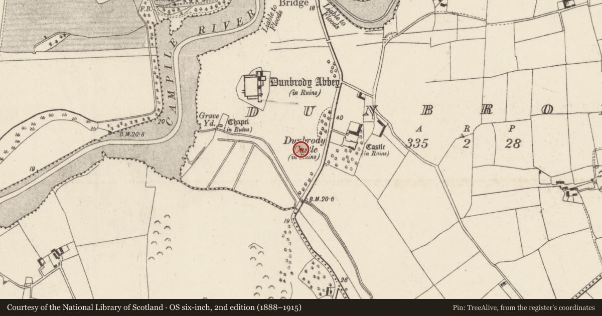 Ordnance Survey six-inch map, 2nd edition (1888–1915) covering the location of Field system, Dunbrody, County Wexford, with a pin at the register's coordinates