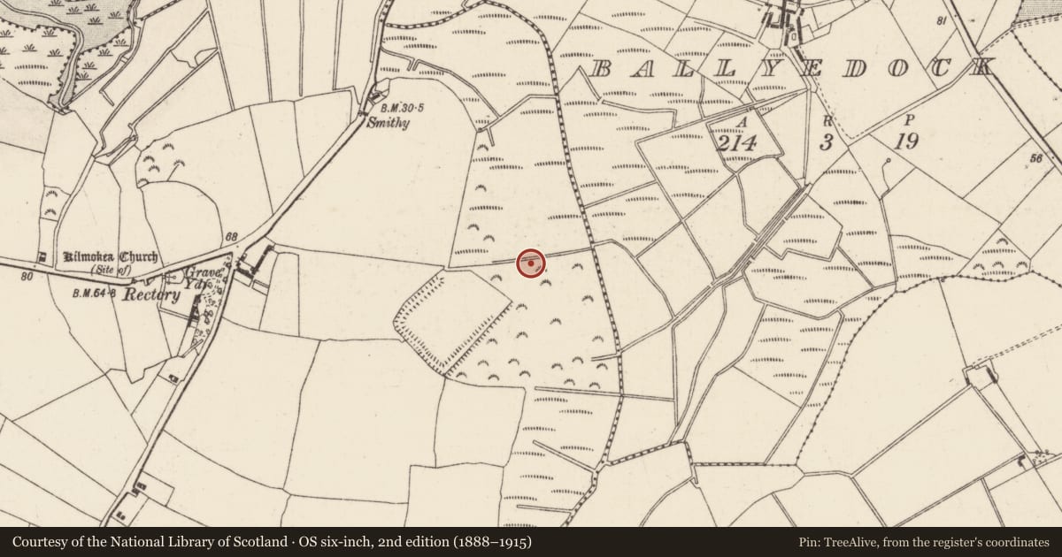 Ordnance Survey six-inch map, 2nd edition (1888–1915) covering the location of Water mill - unclassified, Great Island, County Wexford, with a pin at the register's coordinates