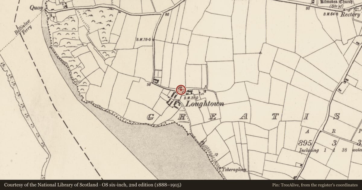 Ordnance Survey six-inch map, 2nd edition (1888–1915) covering the location of Bullaun stone (present location), Great Island, County Wexford, with a pin at the register's coordinates