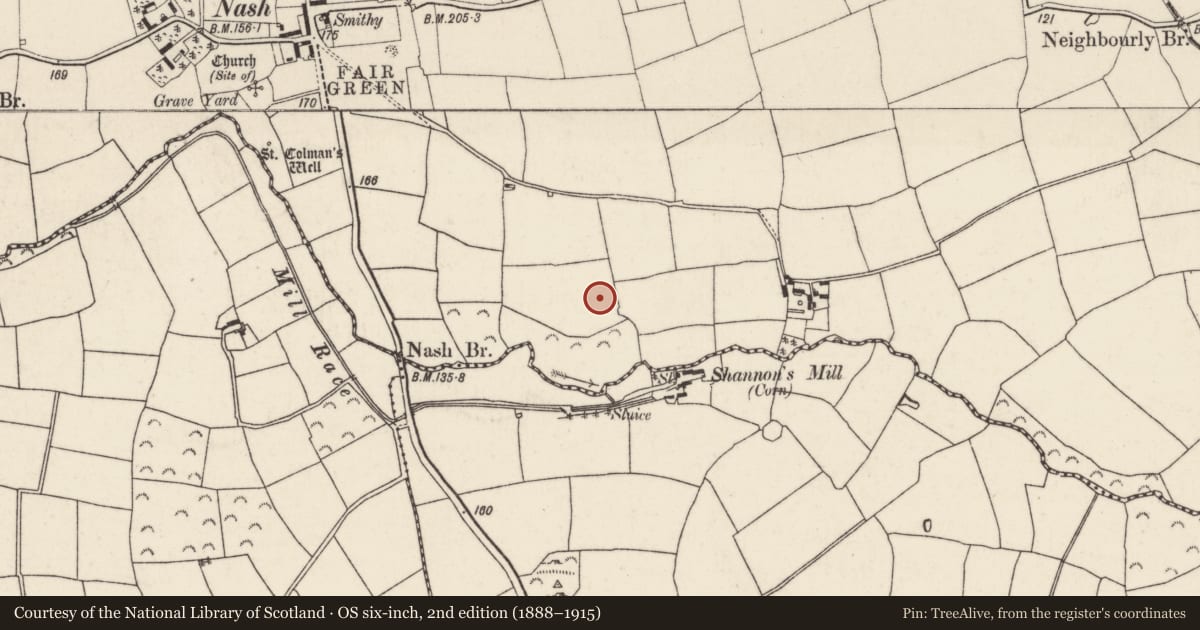 Ordnance Survey six-inch map, 2nd edition (1888–1915) covering the location of Ringfort - rath, Nash, County Wexford, with a pin at the register's coordinates