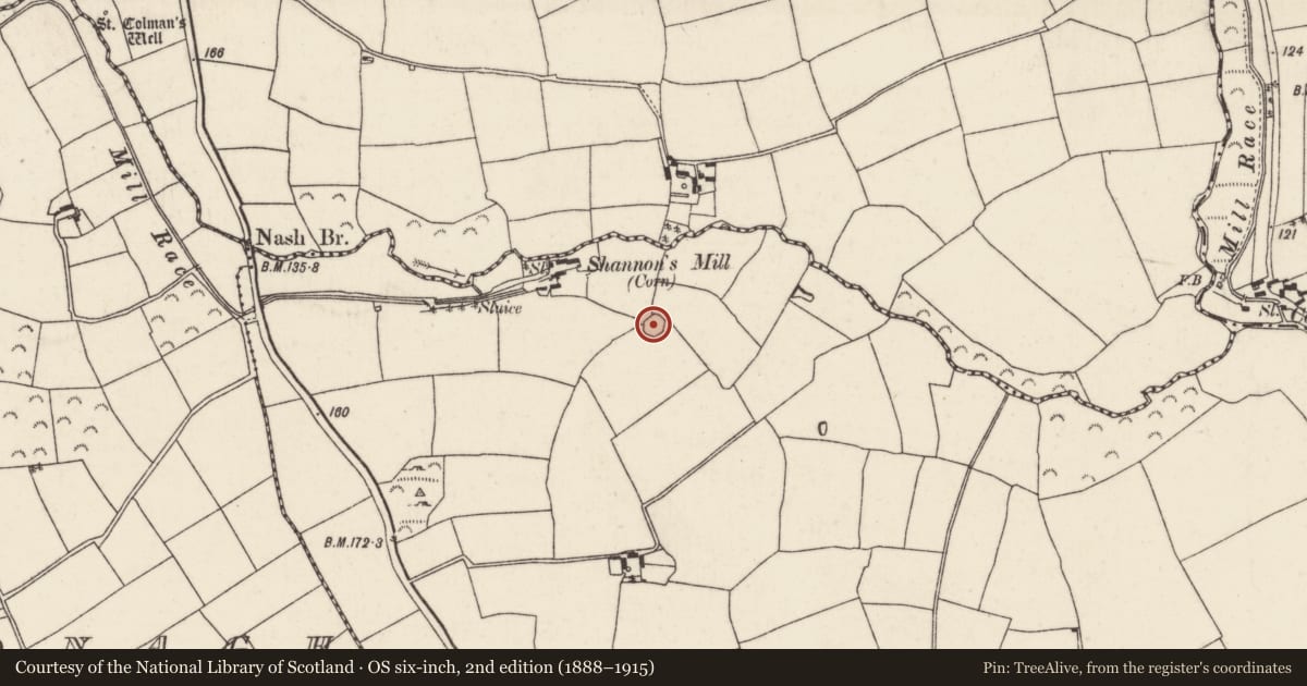 Ordnance Survey six-inch map, 2nd edition (1888–1915) covering the location of Ringfort - rath, Ballygarvan, County Wexford, with a pin at the register's coordinates