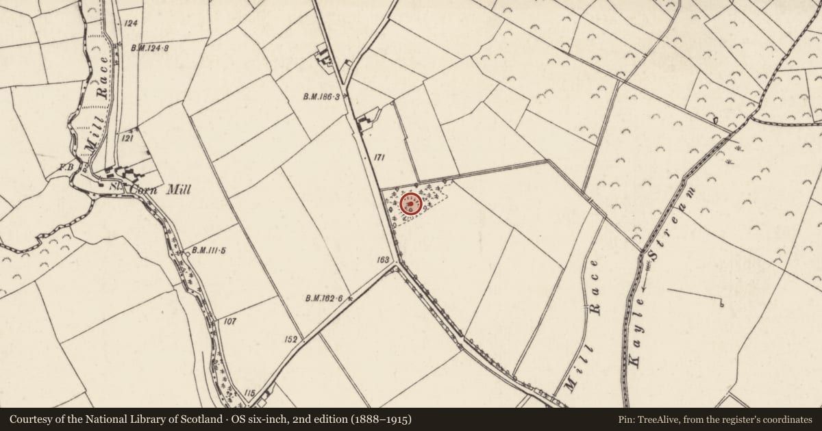 Ordnance Survey six-inch map, 2nd edition (1888–1915) covering the location of Ringfort - rath, Kilbraney, County Wexford, with a pin at the register's coordinates