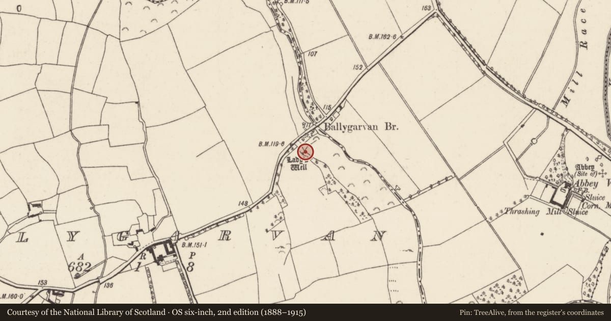 Ordnance Survey six-inch map, 2nd edition (1888–1915) covering the location of Ritual site - holy well, Ballygarvan, County Wexford, with a pin at the register's coordinates