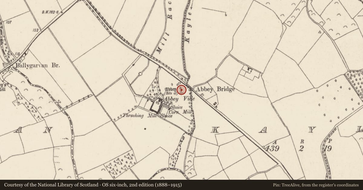 Ordnance Survey six-inch map, 2nd edition (1888–1915) covering the location of Structure, Kilbraney, County Wexford, with a pin at the register's coordinates