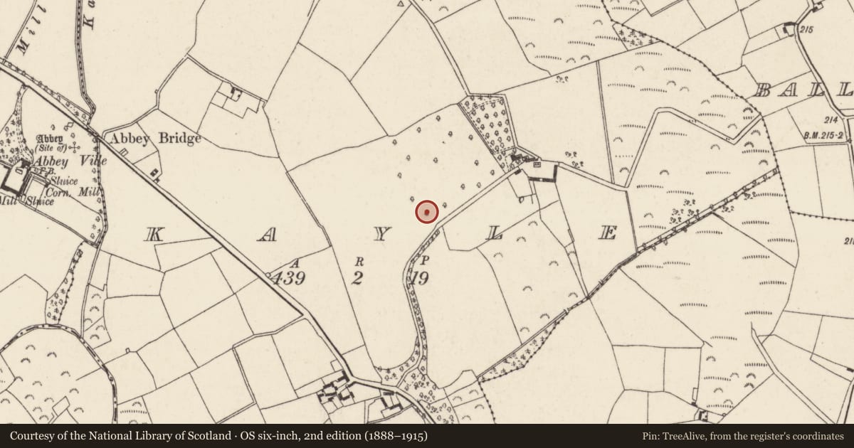 Ordnance Survey six-inch map, 2nd edition (1888–1915) covering the location of Ringfort - rath, Kayle, County Wexford, with a pin at the register's coordinates