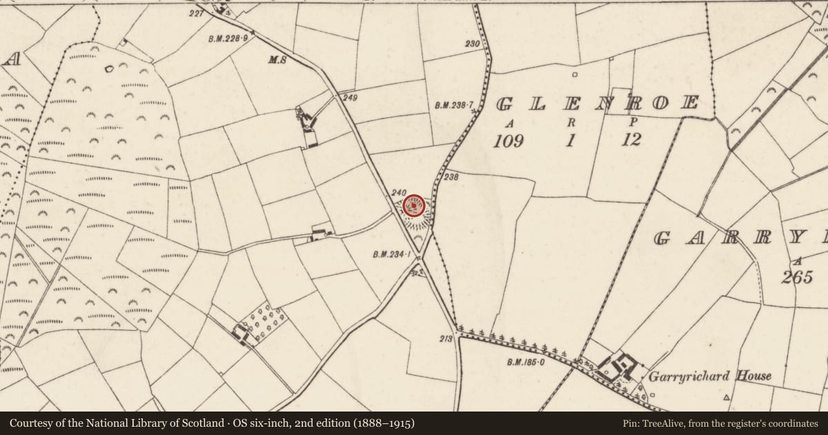 Ordnance Survey six-inch map, 2nd edition (1888–1915) covering the location of Castle - motte and bailey, Newcastle, County Wexford, with a pin at the register's coordinates