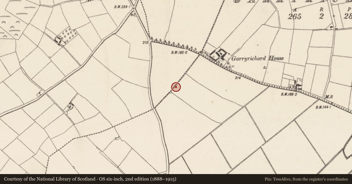 Ordnance Survey six-inch map, 2nd edition (1888–1915) covering the location of Ringfort - unclassified, Newcastle, Longgraigue, County Wexford, with a pin at the register's coordinates