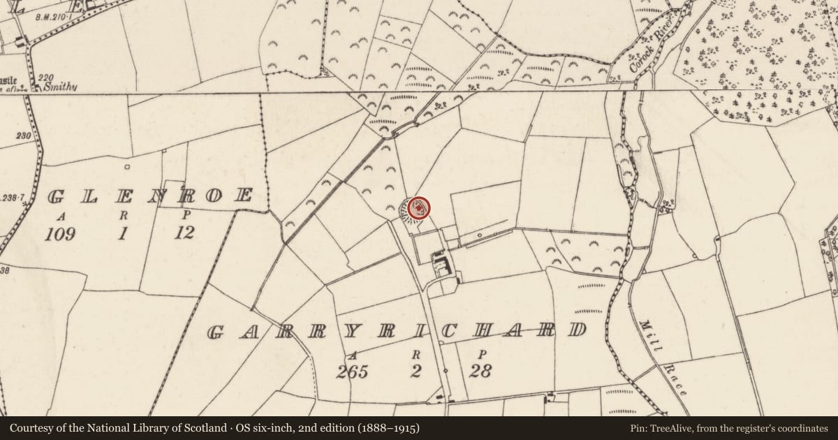 Ordnance Survey six-inch map, 2nd edition (1888–1915) covering the location of Moated site, Garryrichard, County Wexford, with a pin at the register's coordinates