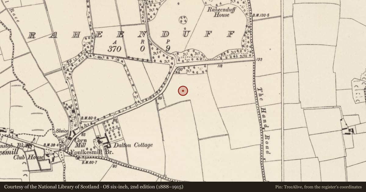 Ordnance Survey six-inch map, 2nd edition (1888–1915) covering the location of Ringfort - rath, Raheenduff, County Wexford, with a pin at the register's coordinates