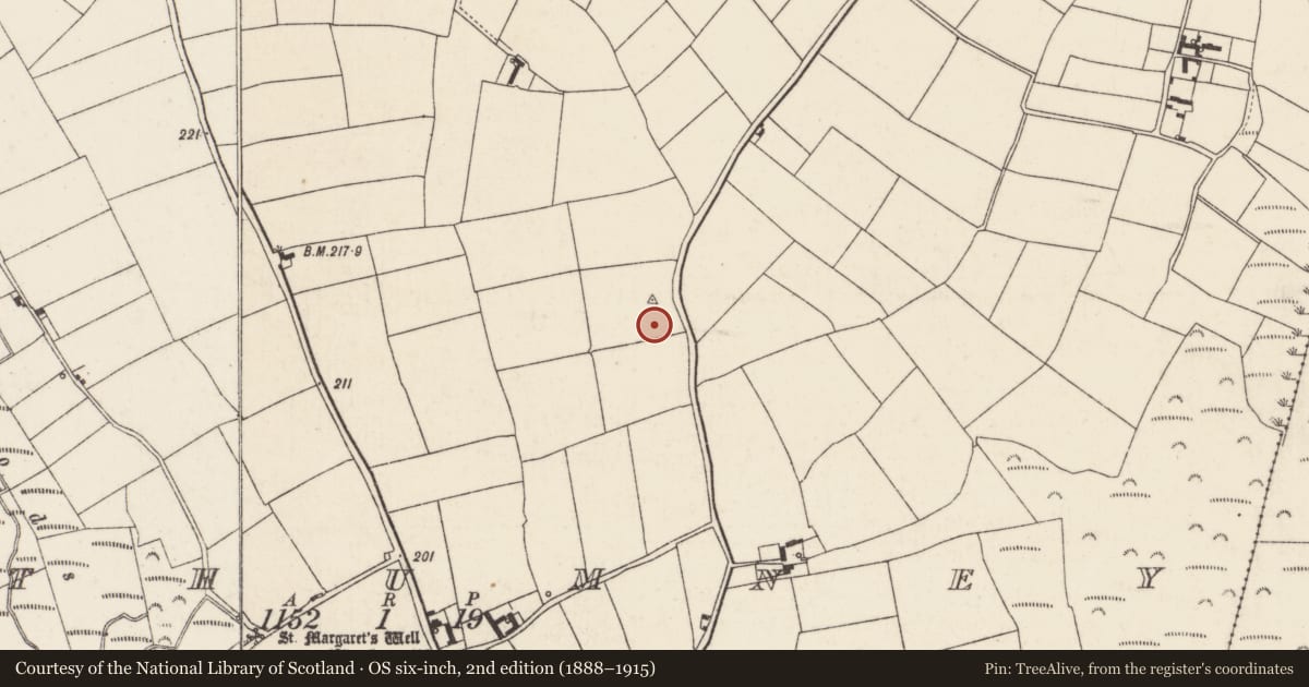 Ordnance Survey six-inch map, 2nd edition (1888–1915) covering the location of Ringfort - rath, Rathumney, County Wexford, with a pin at the register's coordinates