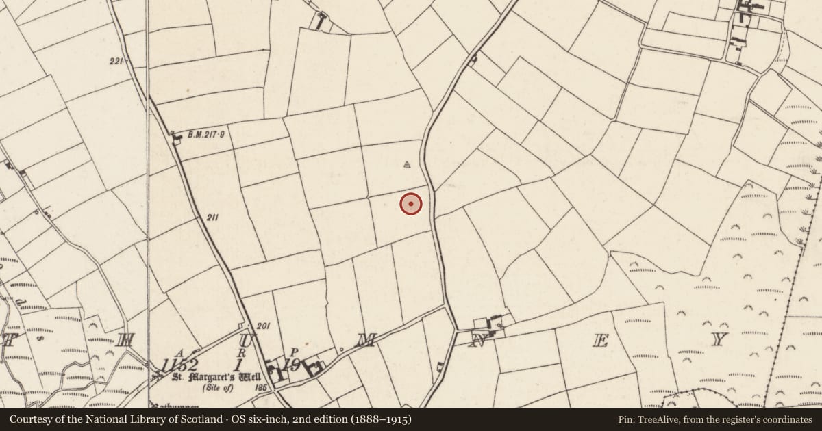 Ordnance Survey six-inch map, 2nd edition (1888–1915) covering the location of Enclosure, Rathumney, County Wexford, with a pin at the register's coordinates