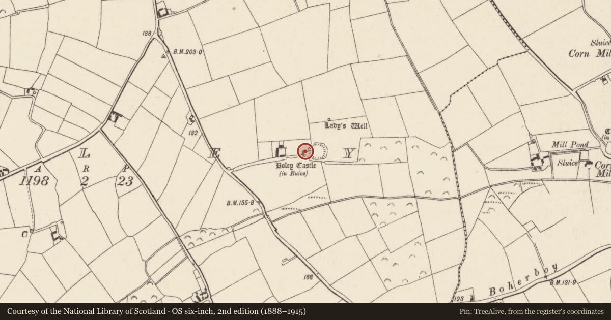 Ordnance Survey six-inch map, 2nd edition (1888–1915) covering the location of Castle - tower house, Boley, County Wexford, with a pin at the register's coordinates
