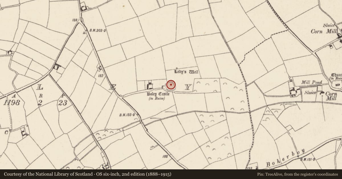 Ordnance Survey six-inch map, 2nd edition (1888–1915) covering the location of Moated site, Boley, County Wexford, with a pin at the register's coordinates