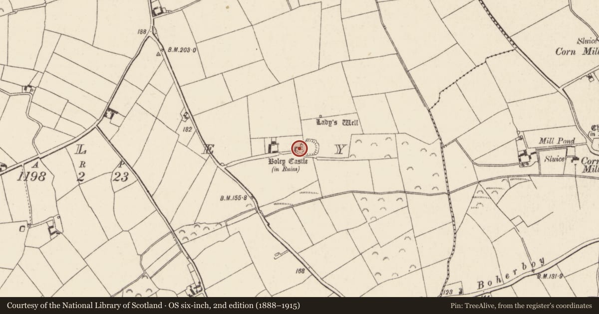 Ordnance Survey six-inch map, 2nd edition (1888–1915) covering the location of Bawn, Boley, County Wexford, with a pin at the register's coordinates